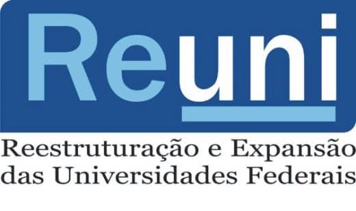 Reuni-o-que-é-Bolsas-Reuni-Mec