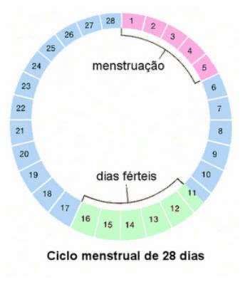 tabelinha-periodo-fertil